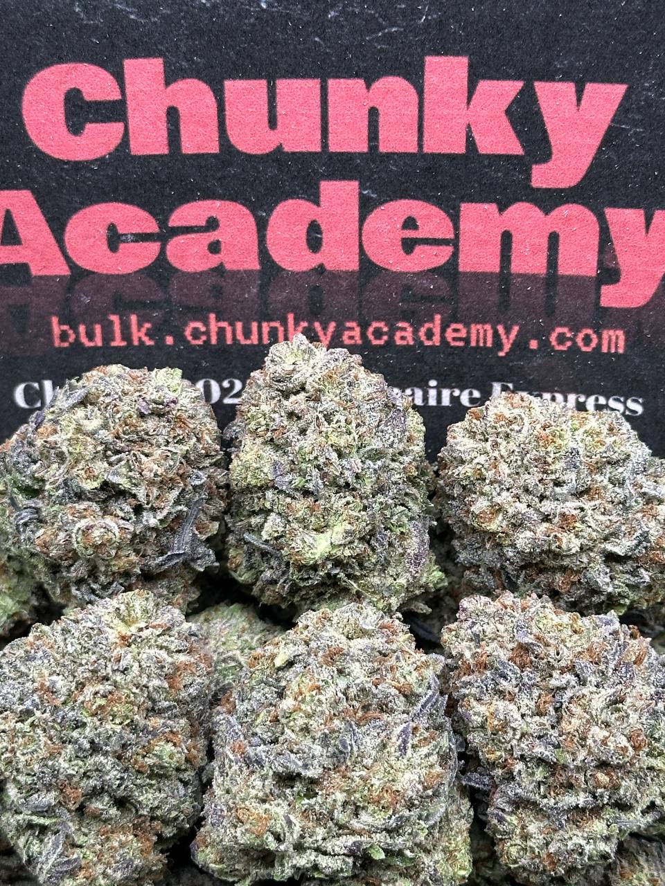 #B799 - Black Truffle (Hybrid)