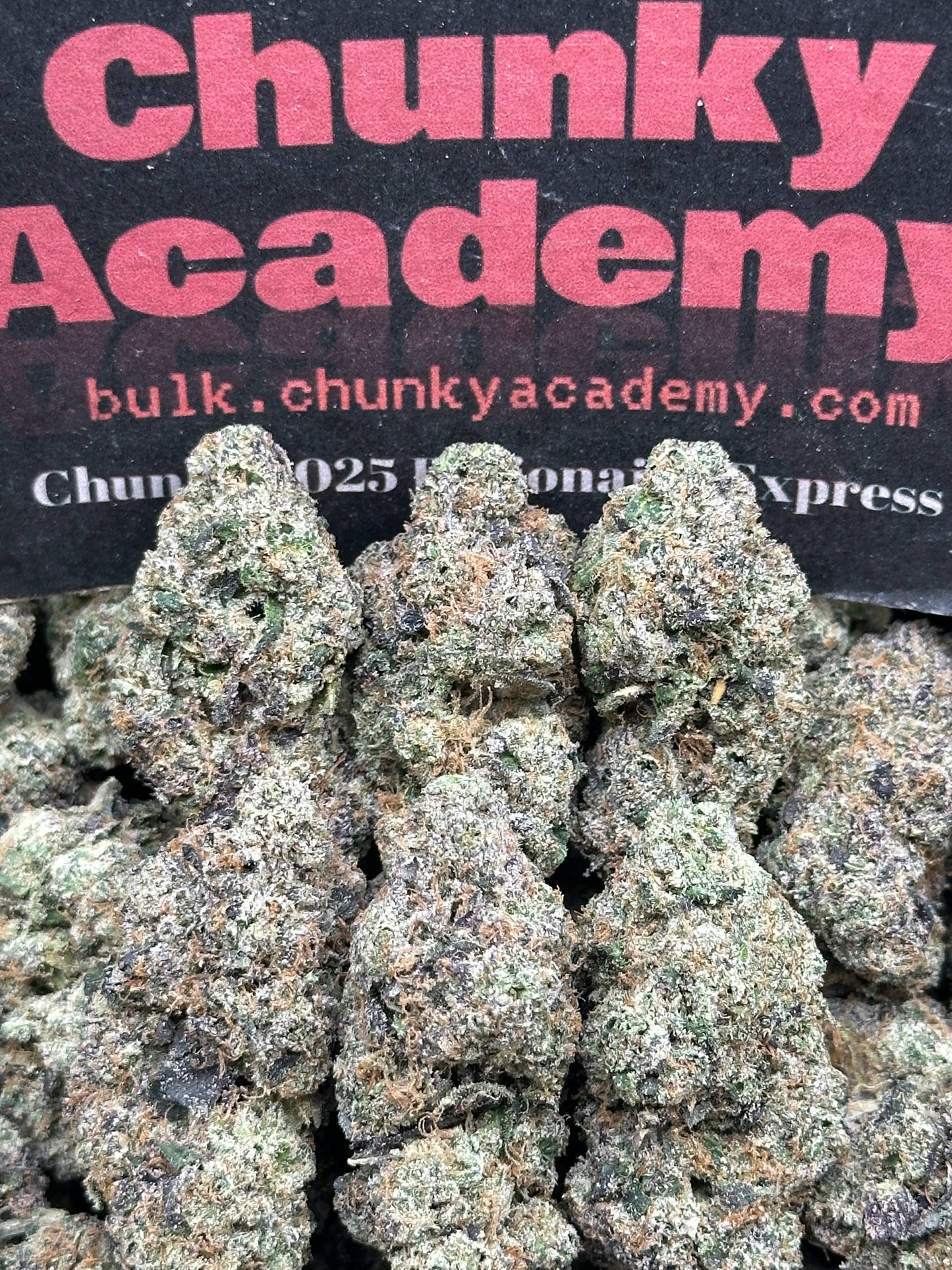 #AA560 - Margarita Gelato (Indica)