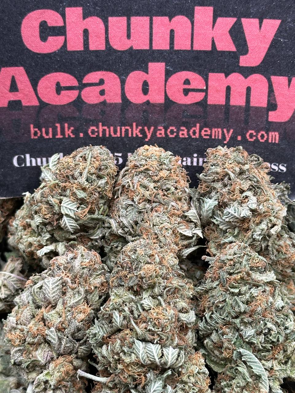 #B867 - Bubba Gump Ultra (Indica)