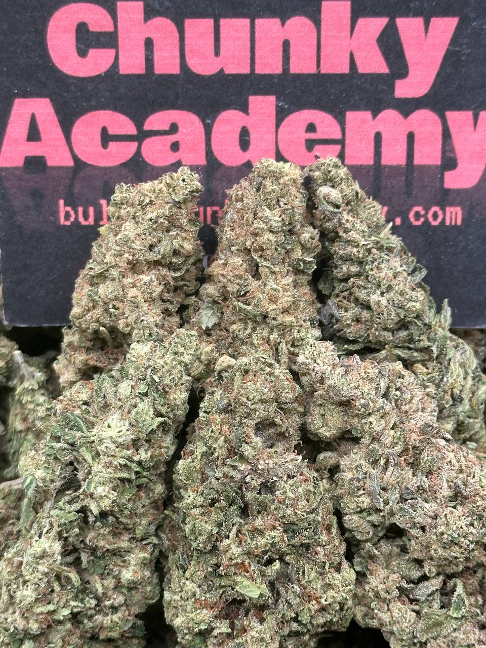 #FK035 - Tropical Pine Burst (Hybrid)