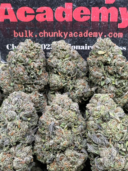 #B764 - Terra Gelato (Hybrid)