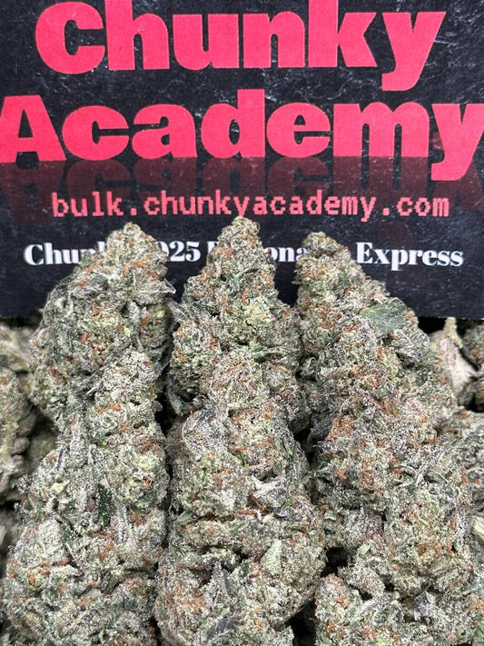 #B767 - Space Meteorites (Indica)