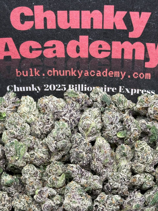 #SS156 - Petrol Pop SM (Indica)