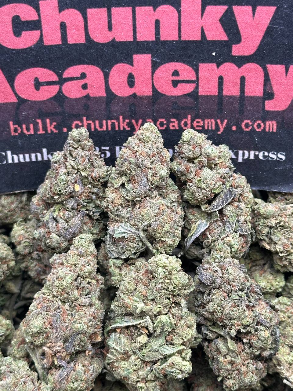 #B831 - Grapefruit Rush (Hybrid)