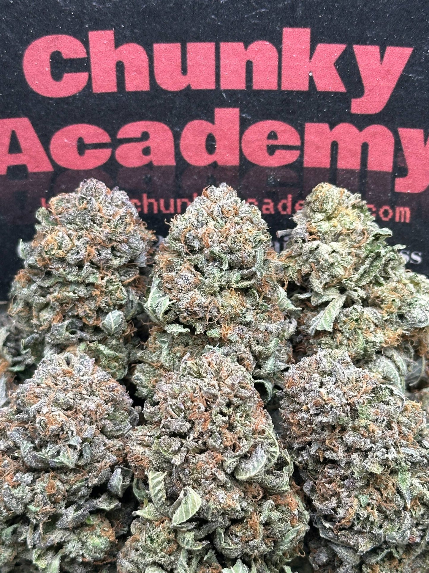 #AA554 - Bubba Bomb (Hybrid)