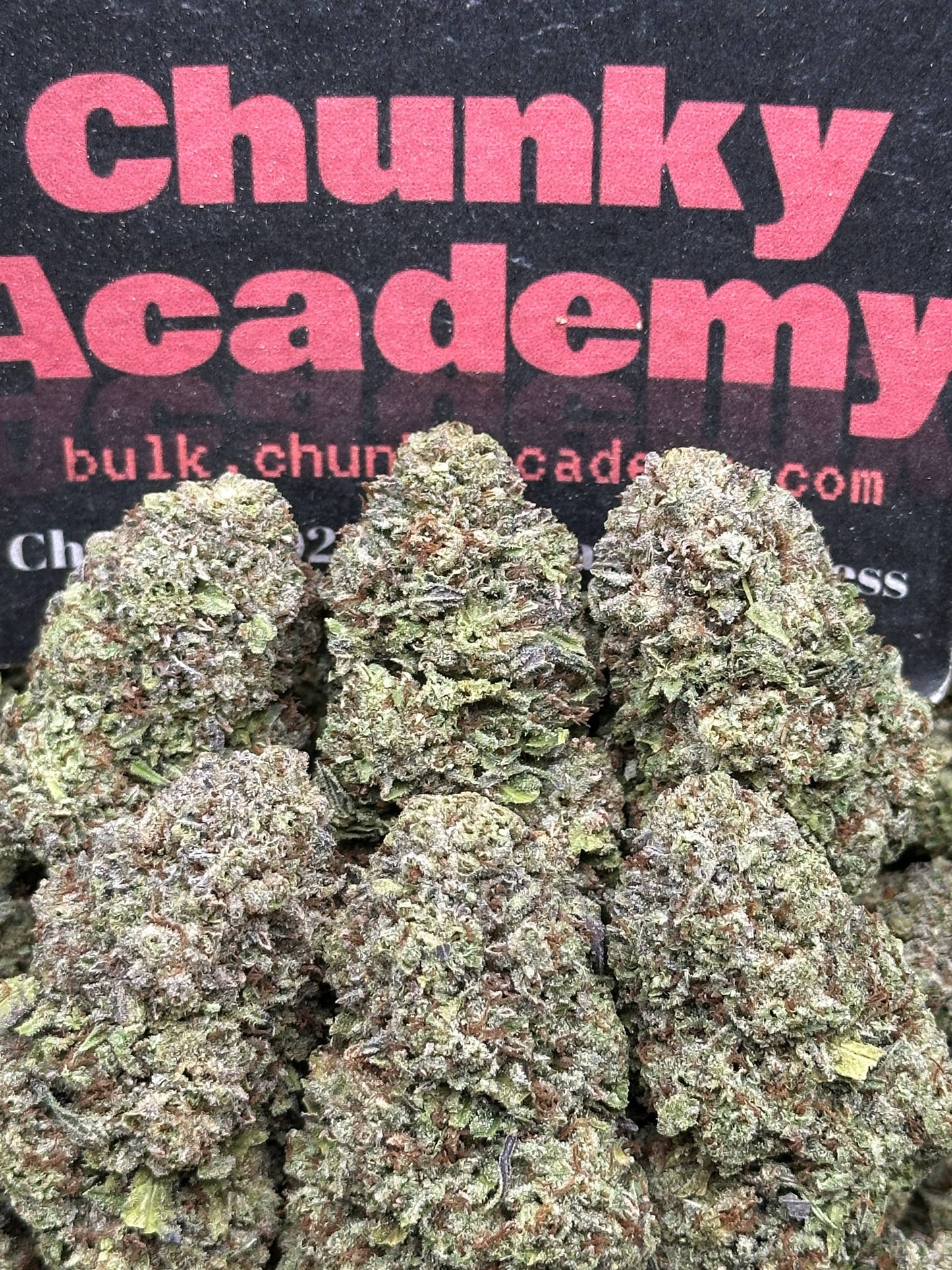 #B842 - Candy Vortex (Indica Hybrid)