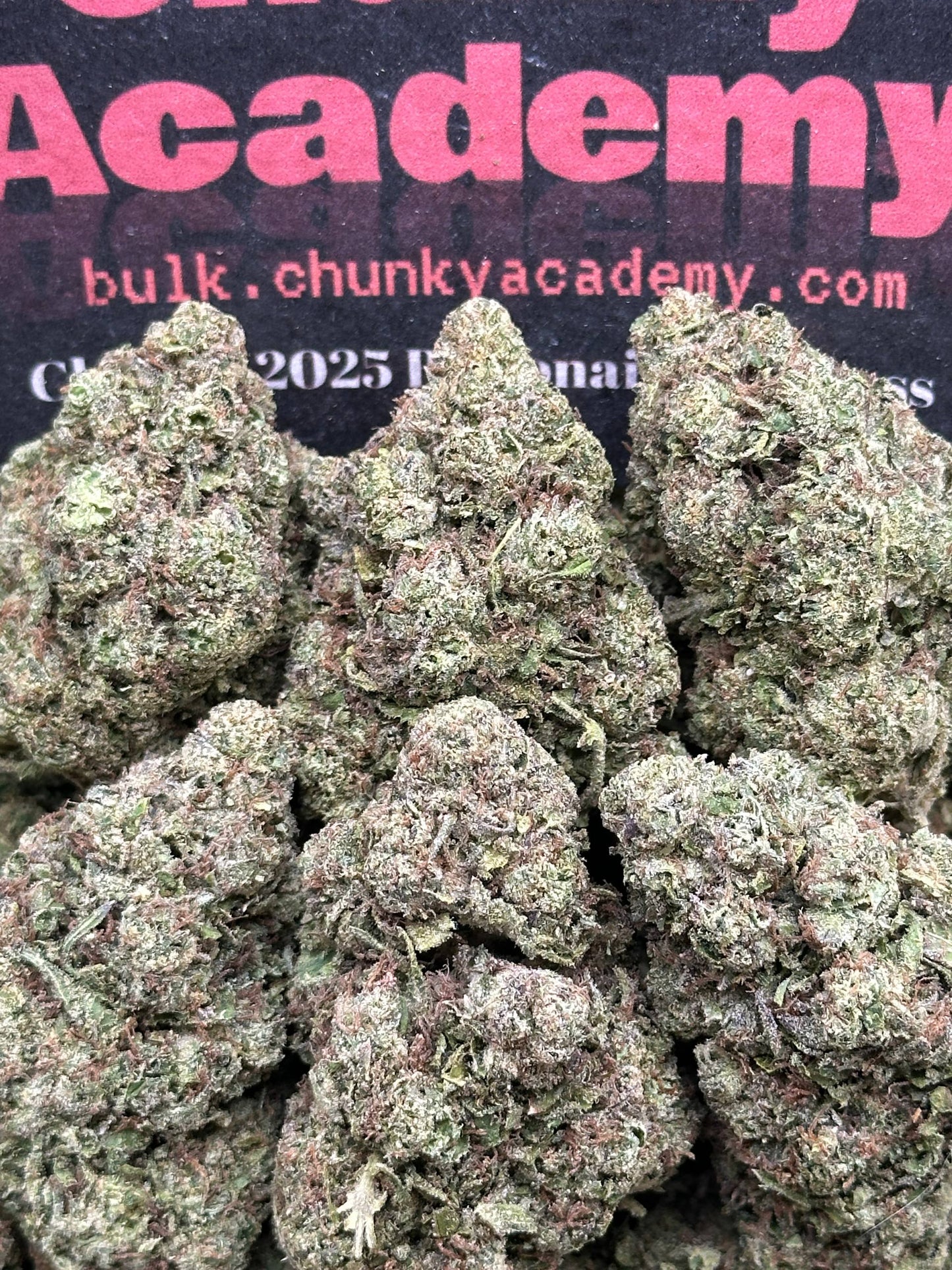#B846 - Icebox Tart (Hybrid)