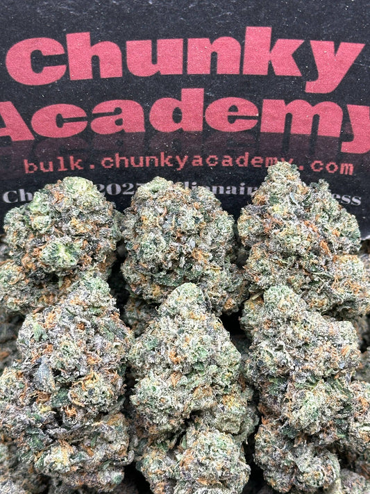 #AA605 - Gas Lantern (Indica)