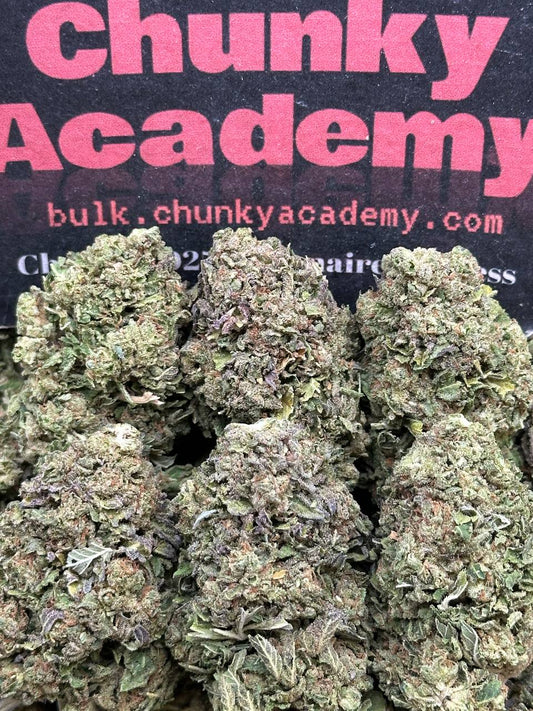 #B853 - White Orchid (Hybrid)