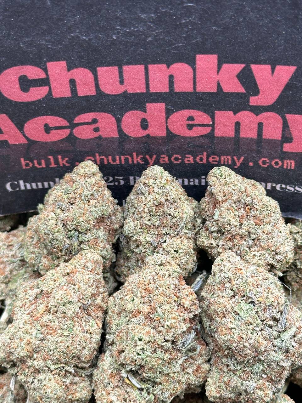 #B857 - Biscotti Melon (Hybrid)