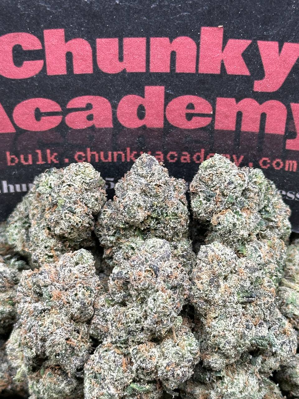 #IN516 - Lunar Eclipse (Indica)
