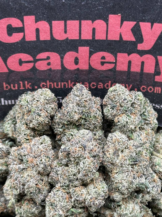 #IN516 - Lunar Eclipse (Indica)