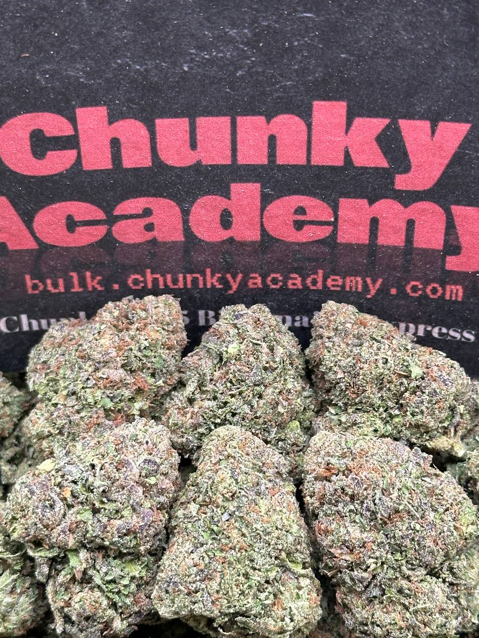 #B866 - Boston Cream (Hybrid)