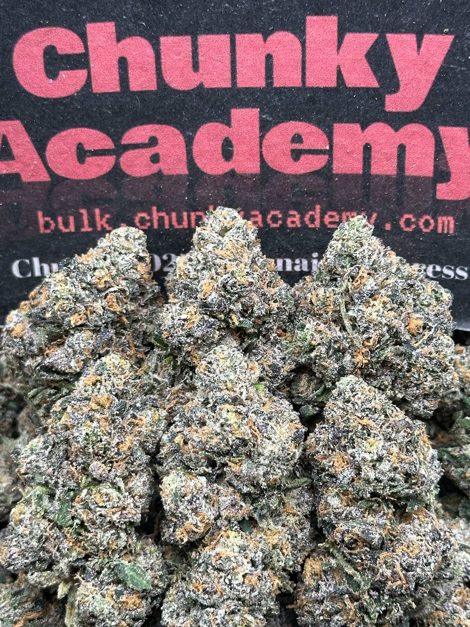 #AA631 - Creme Brûlée (Hybrid)