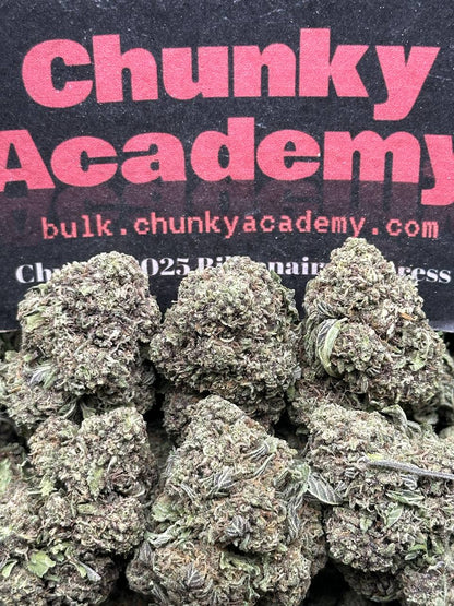 #L566 - Chai Tea (Hybrid)