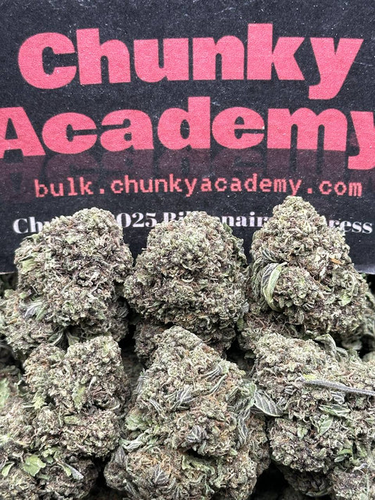 #L566 - Chai Tea (Hybrid)