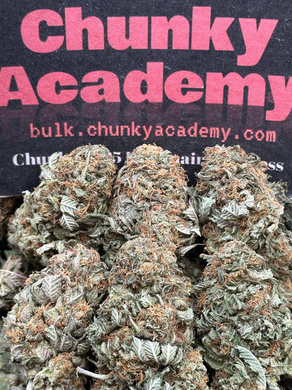 #B867 - Bubba Gump Ultra  (Indica)