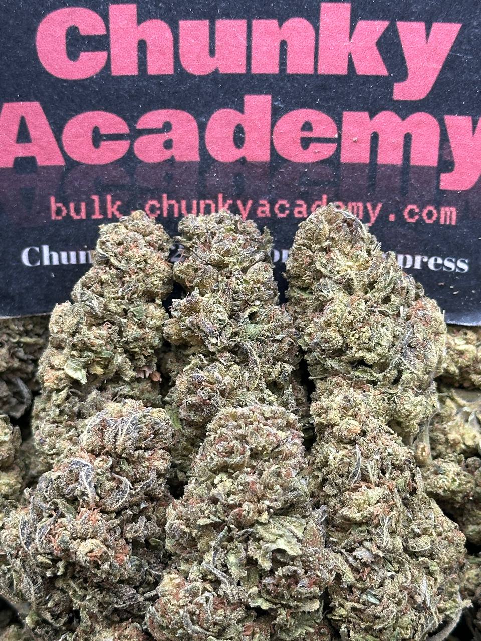 #L568 - Vanilla Wafer (Indica Hybrid)