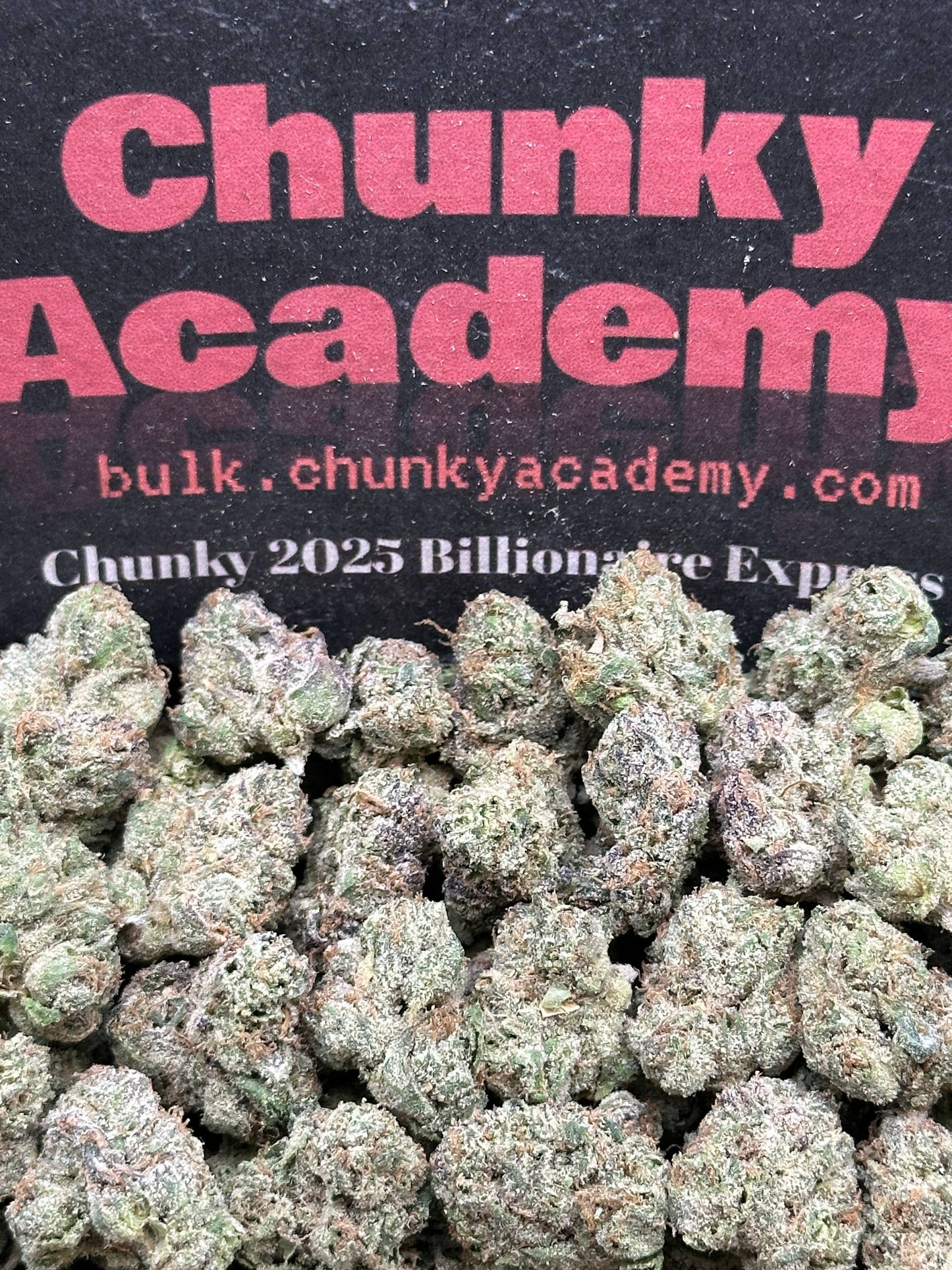 #SS231 - White Chocolate SM (Hybrid)