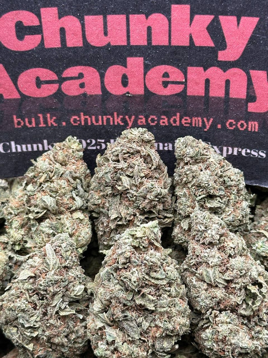 #L570 - Chocolate Taco (Indica Hybrid)