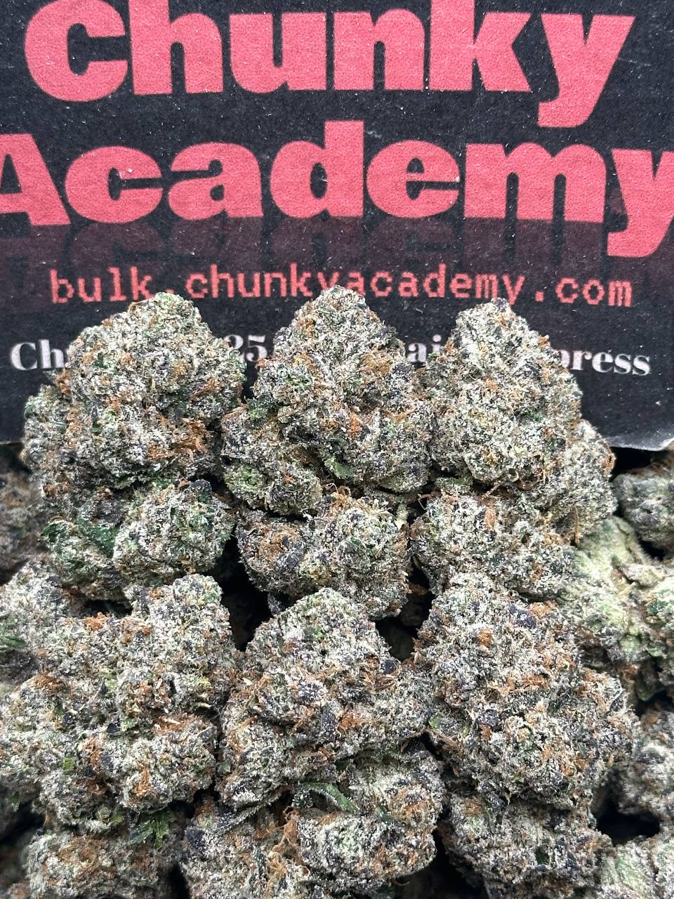 #IN525 - Starlight Runtz (Indica)