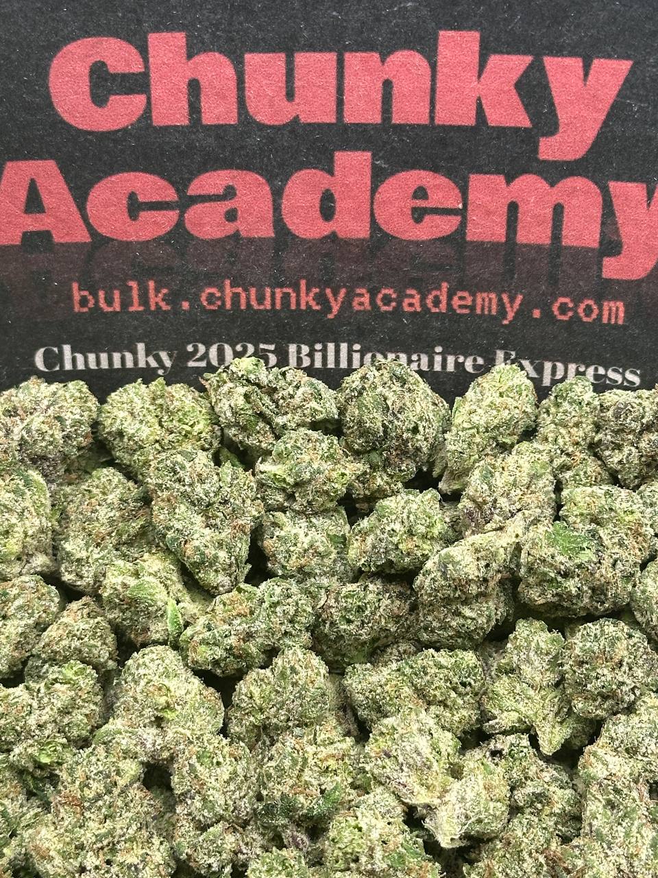 #SS256 - Candy Corn SM (Hybrid)