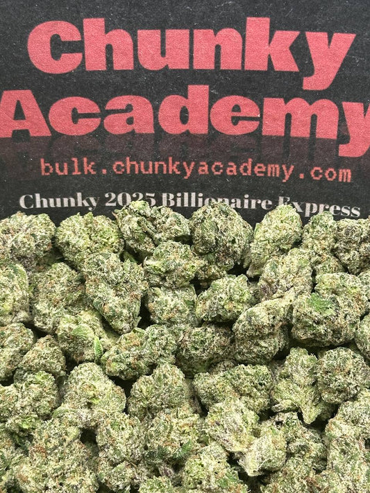 #SS256 - Candy Corn SM (Hybrid)