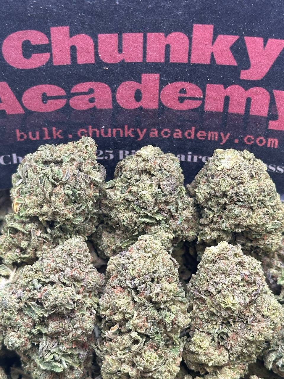 #L575 - Sunset Biscotti (Hybrid)