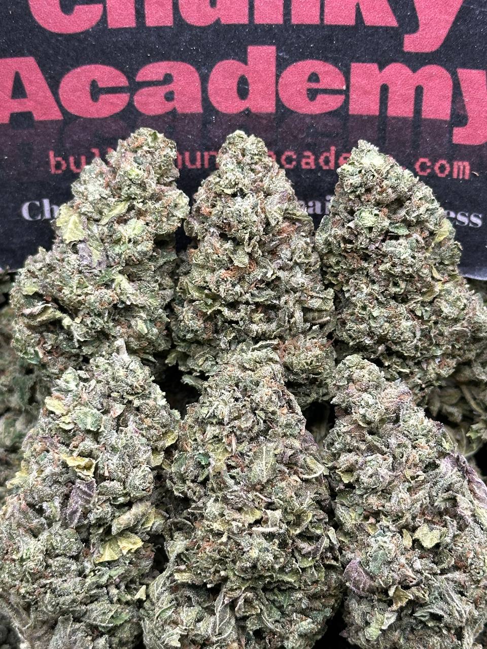 #B886 - Butter Bell (Indica)