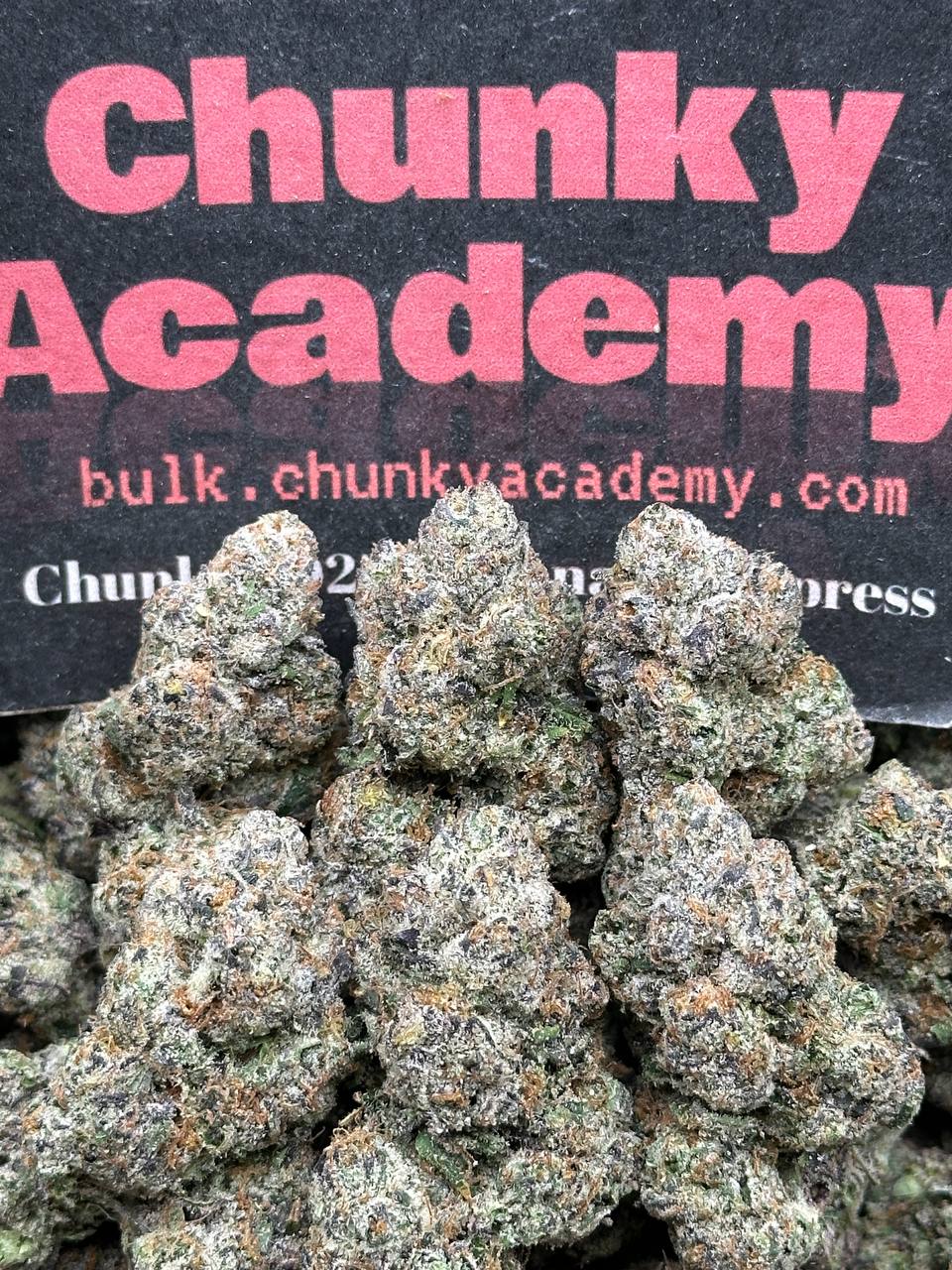 #AA777 - Gummy Zorbet