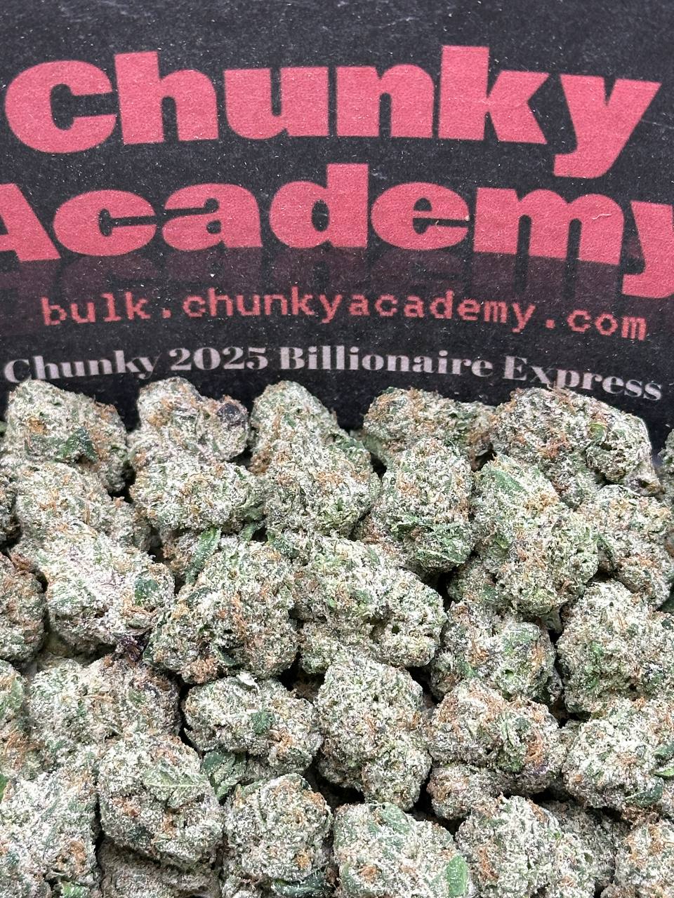 #SS264 - Black Guava SM (Indica)