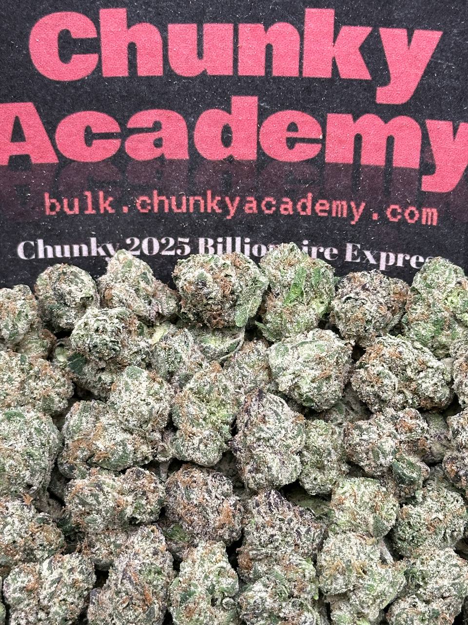 #SS267 - Hi Chew SM (Hybrid)