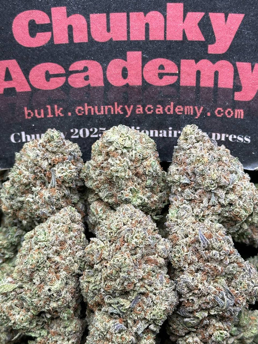 #B888 - Egg Tart (Hybrid)