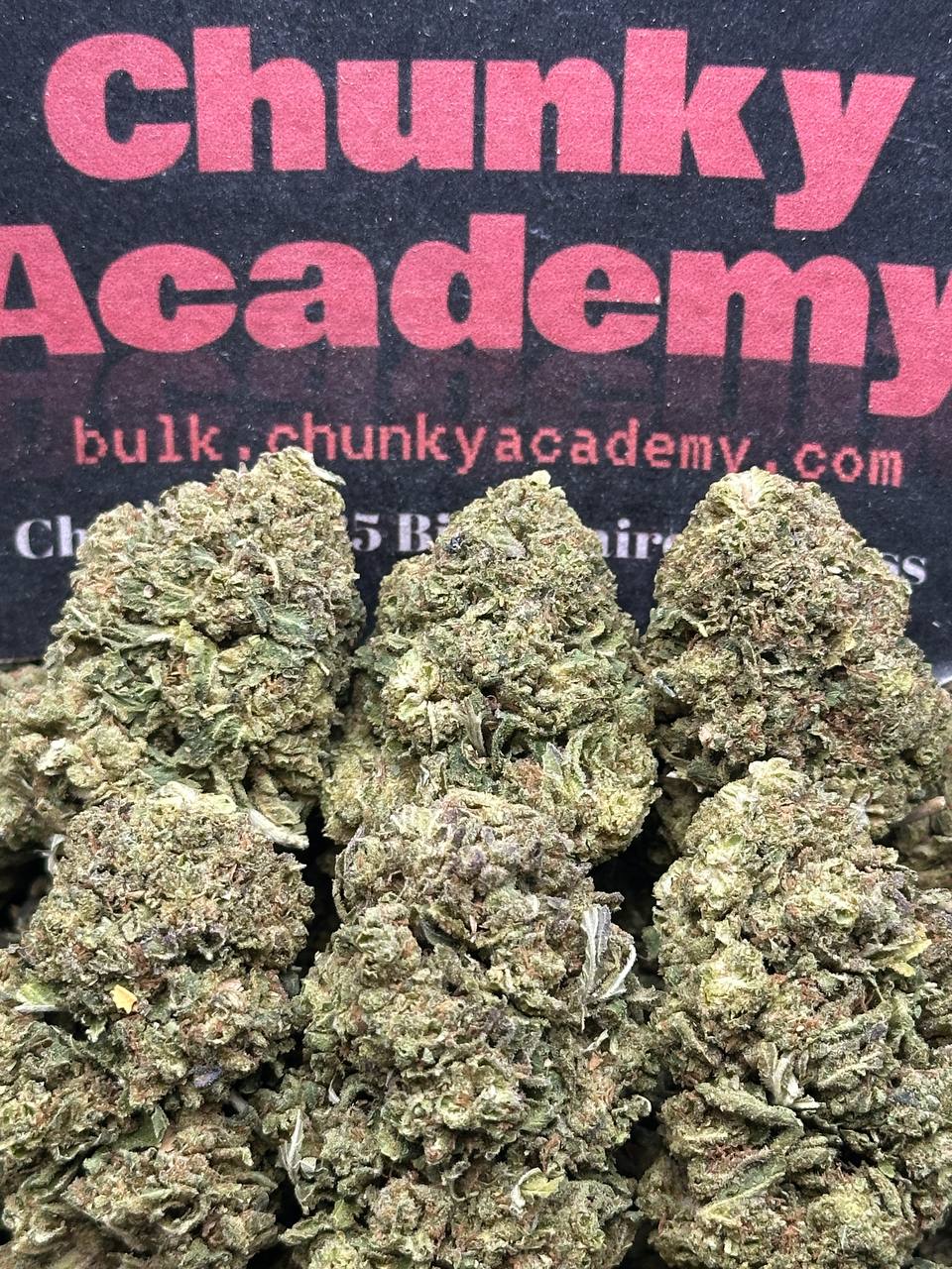 #L582 - Pistachio Crumble (Indica Hybrid)