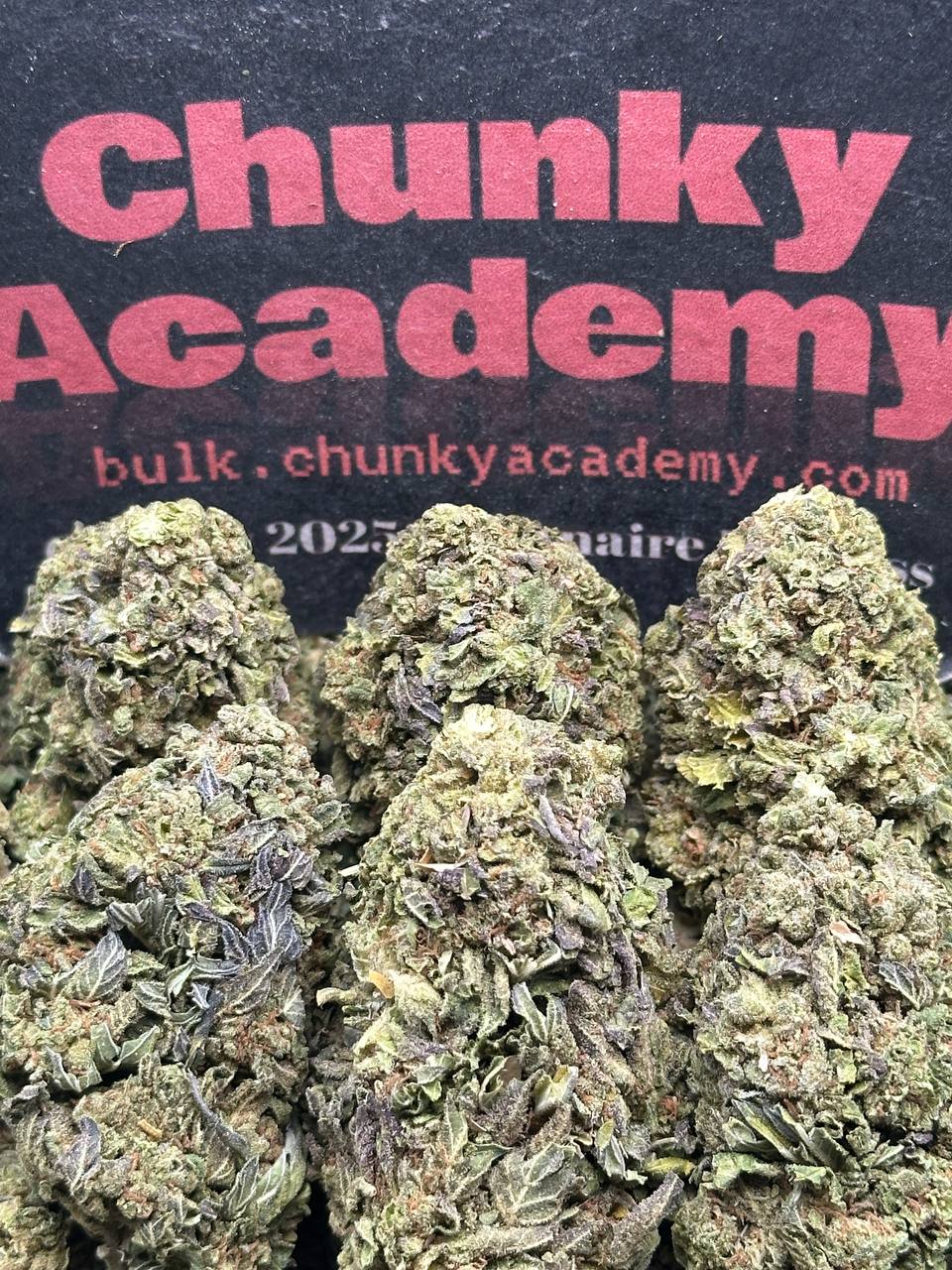 #L583 - Coconut Horchata (Indica)