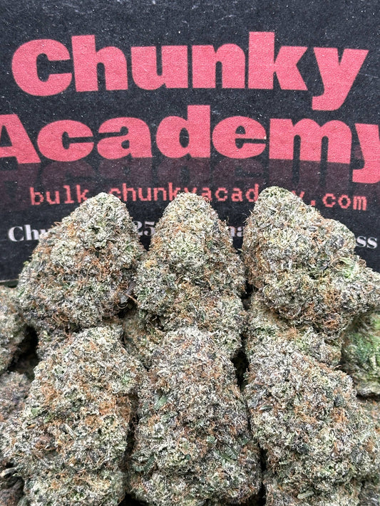 #AA813 - Kiwi Splash Gumbo (Hybrid)