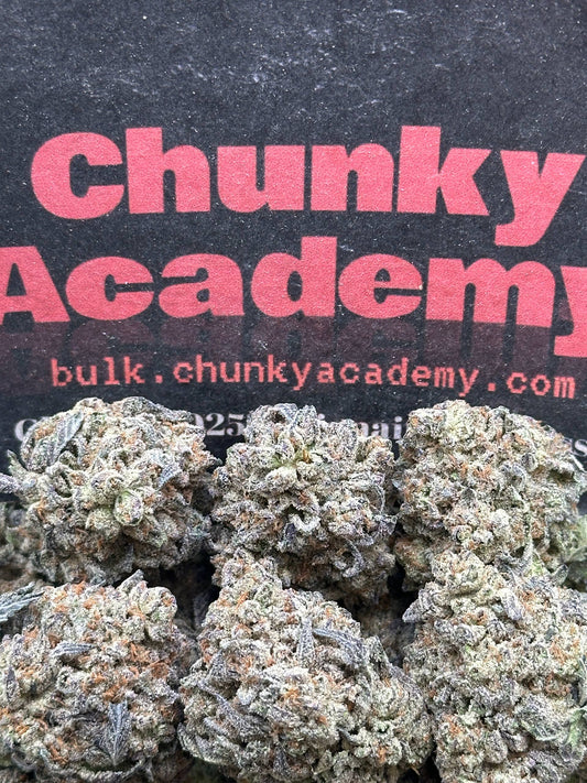 #B893 - Guava Pancake (Hybrid)