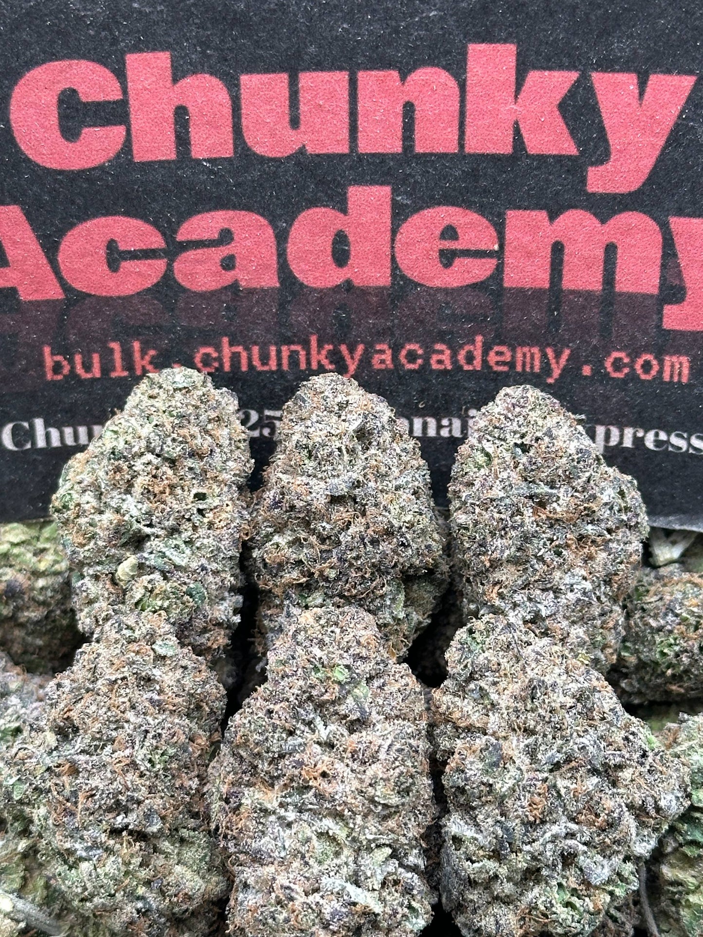 #AA819 - Rainbow Frosting (Hybrid)