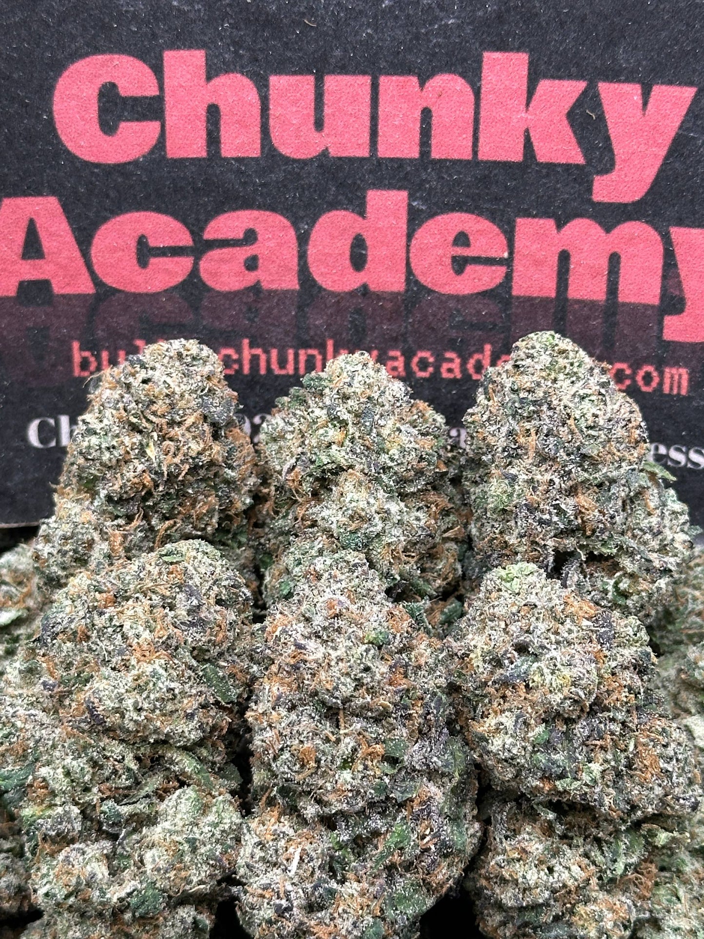 #AA823 - Cherry Zashami (Hybrid)