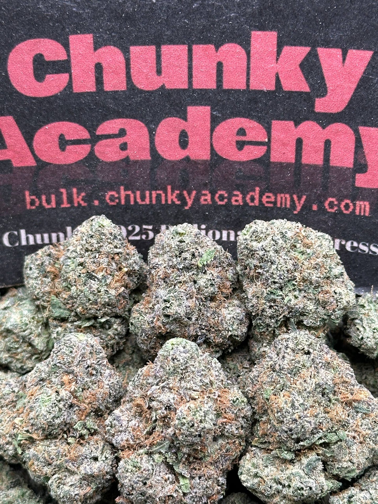 #AA849 - White Rabbit (Hybrid)