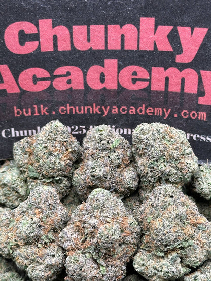 #AA849 - White Rabbit (Hybrid)