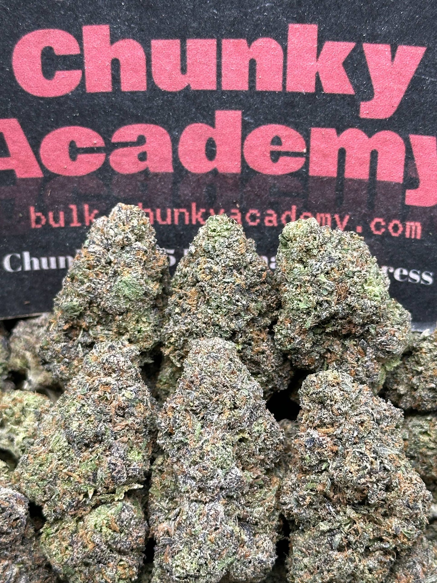 #AA854 - Malibu Haze (Hybrid)