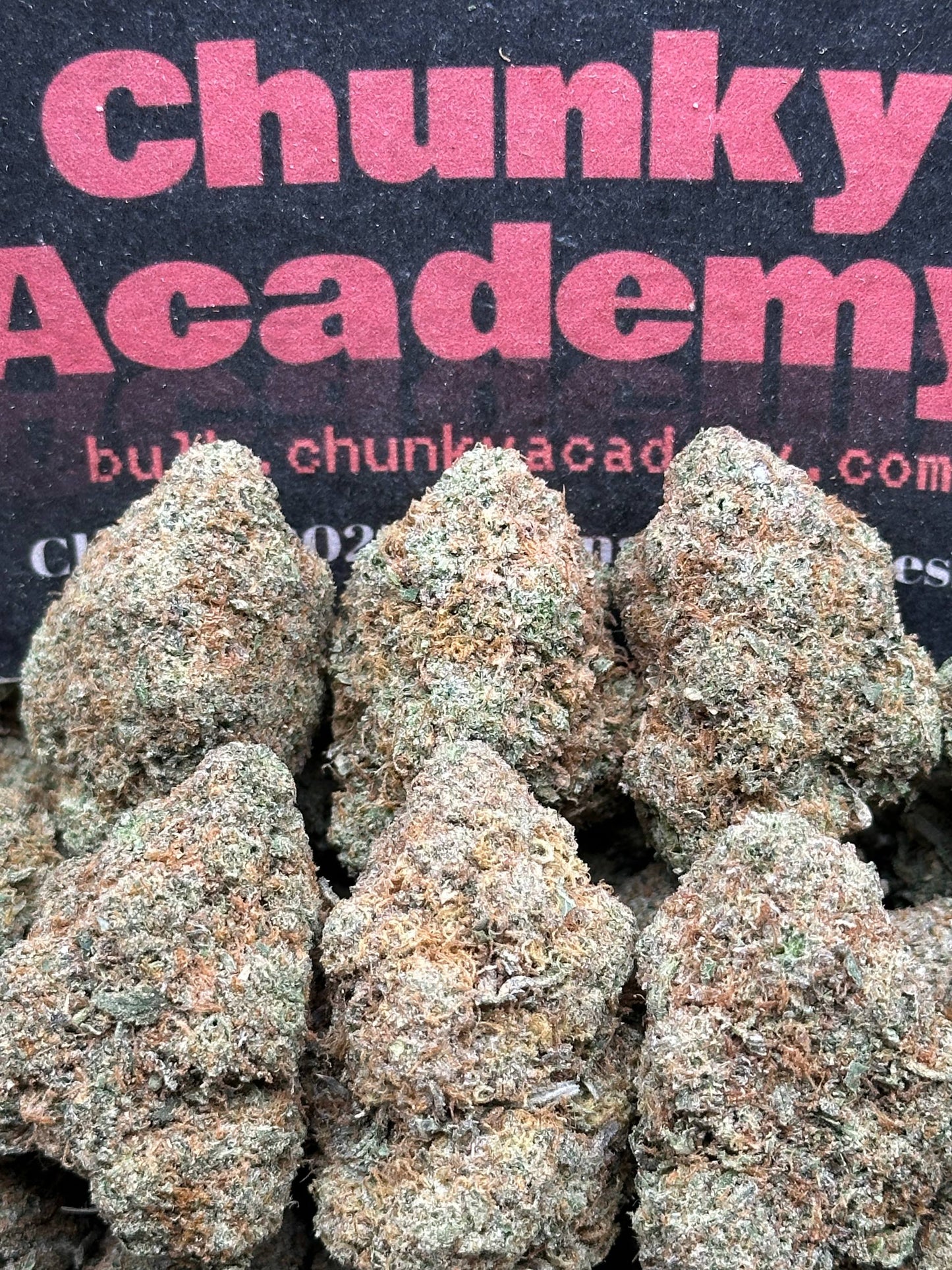 #AA861 - Limoncello (Hybrid)