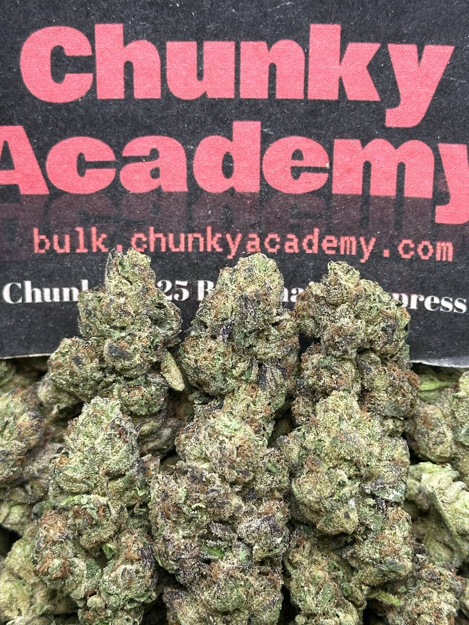 #B928 - Plum Berry (Hybrid)