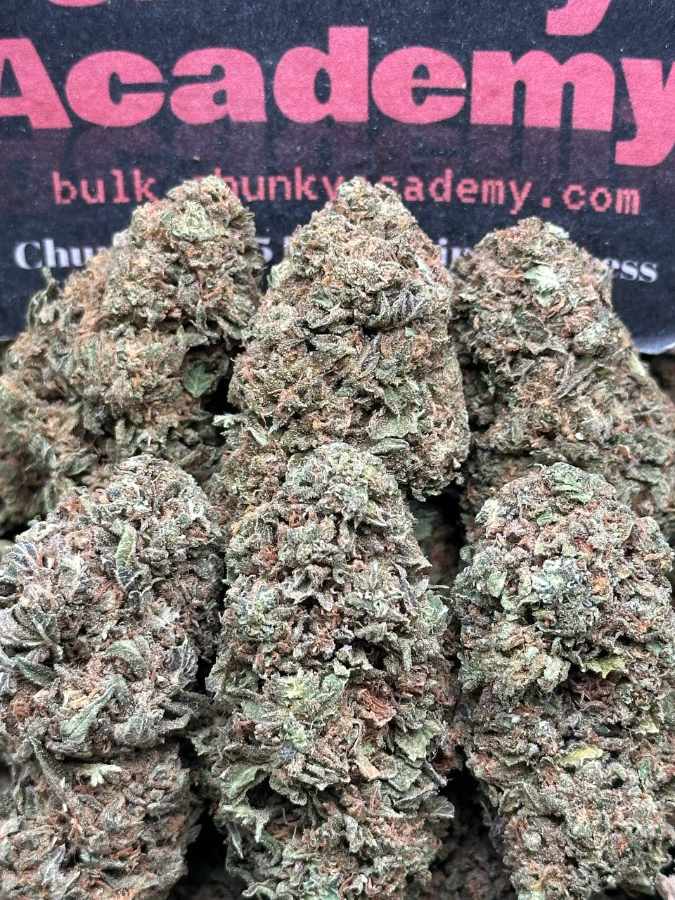 #L597 - Peach Cream (Hybrid)