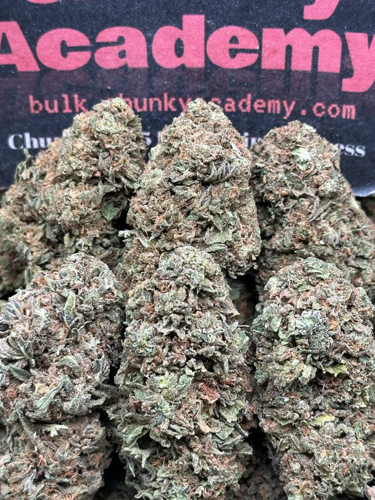 #L597 - Peach Cream (Hybrid)