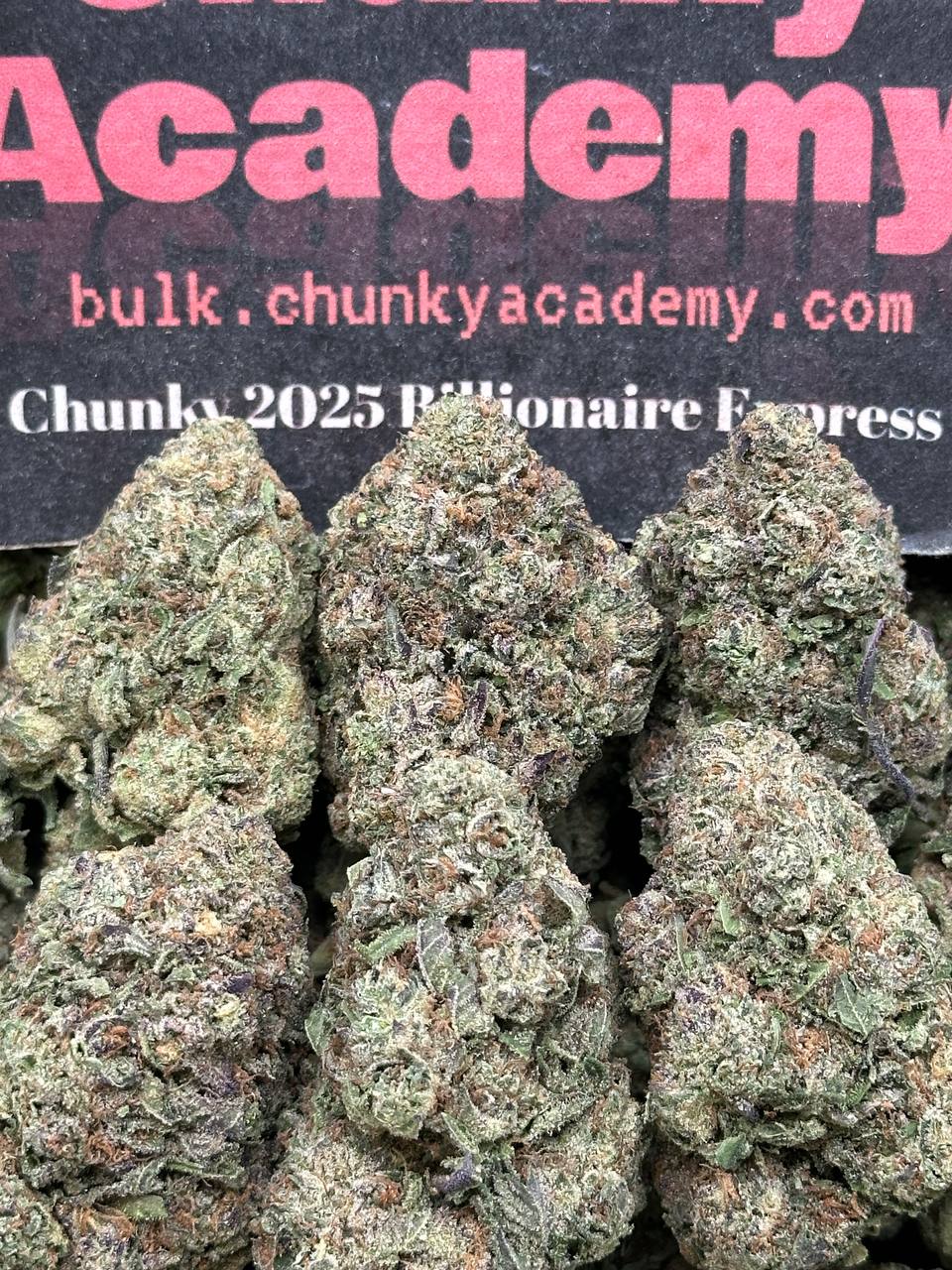 #B929 - Custard Drift (Indica)