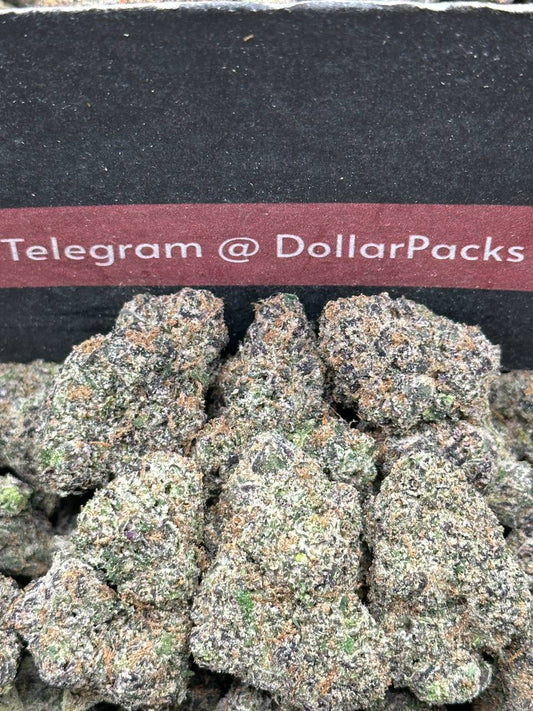 #EA356 - Midnight Sherbet (Hybrid)