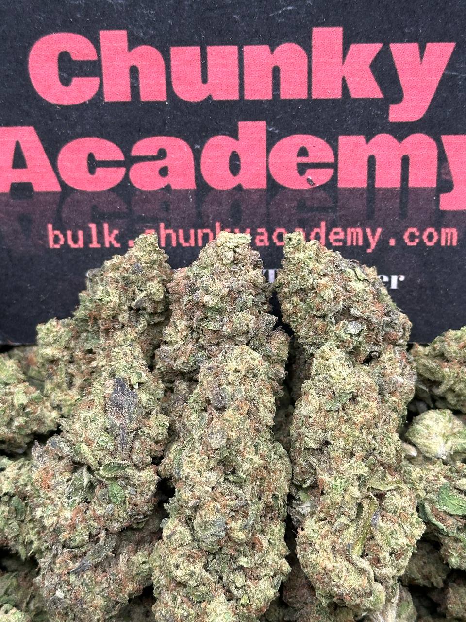 #FK033 - Peach Cream Haze (Hybrid)