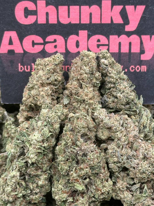 #FK035 - Tropical Pine Burst (Hybrid)